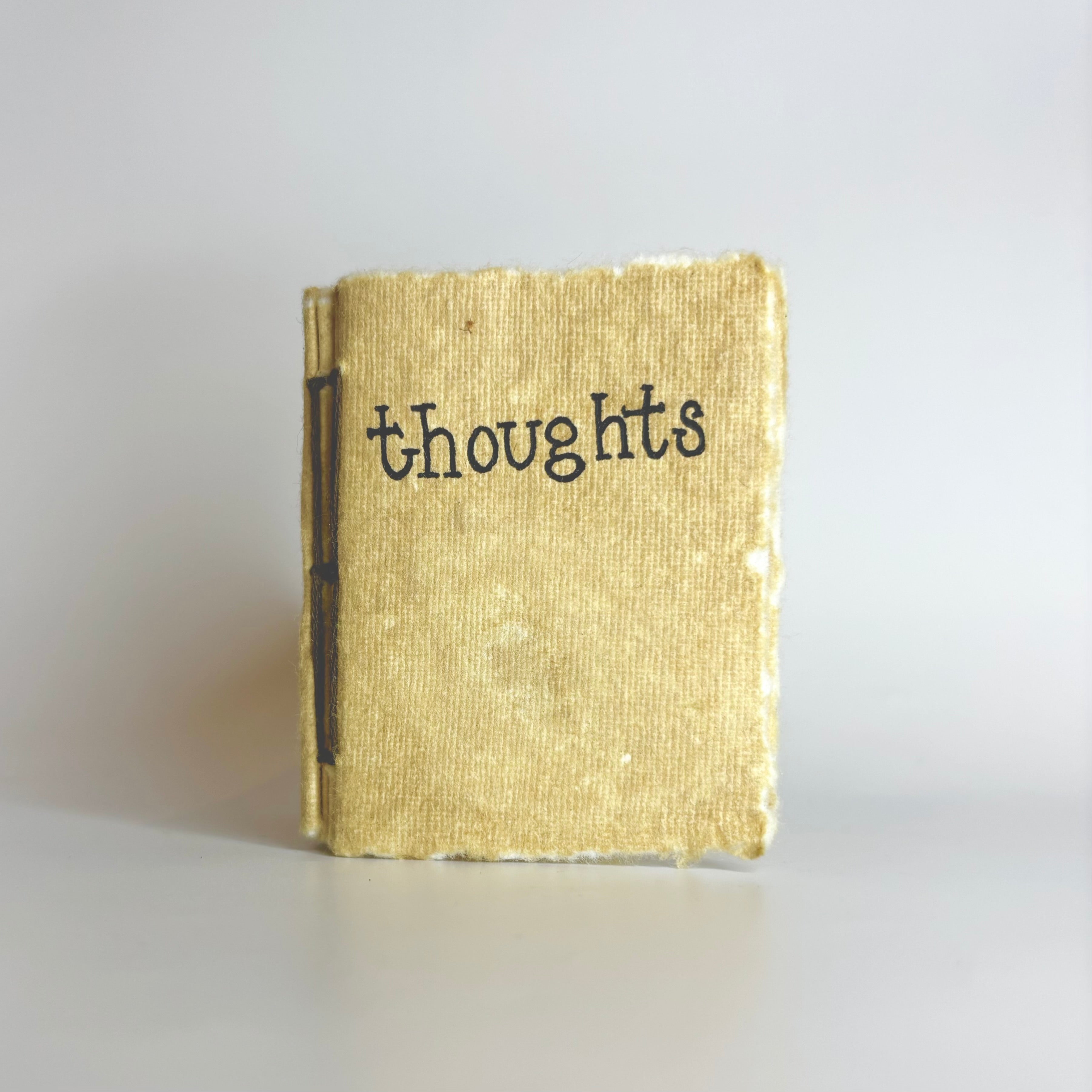 Thoughts Journal, Tiny