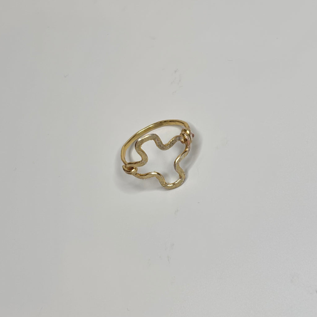 The Hallowed Cross Ring